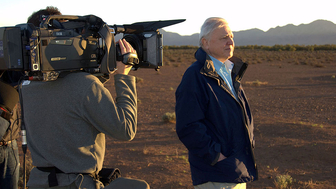 TV Programme Information
