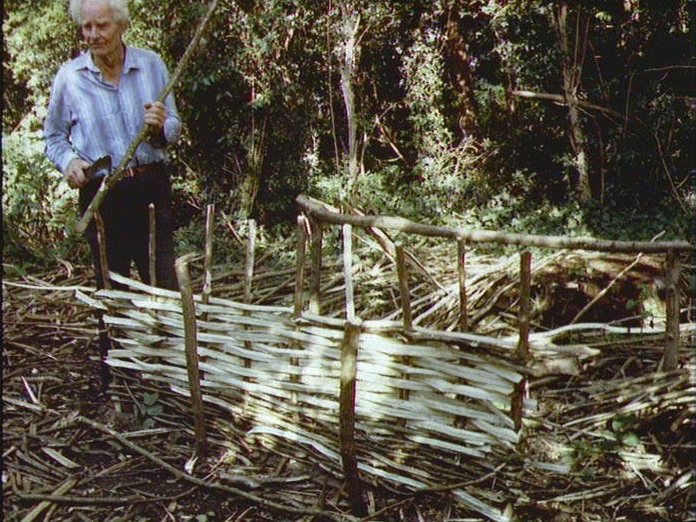 Dorset hurdle-maker at work.-1986