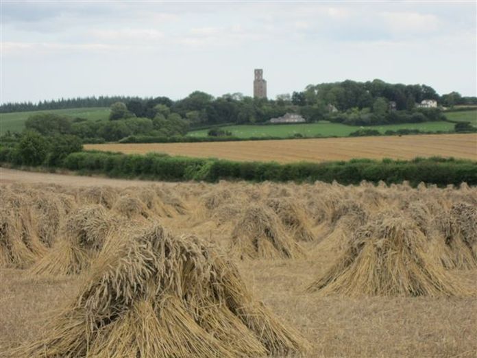 Stooks at North Farm, Horton 2011-2011