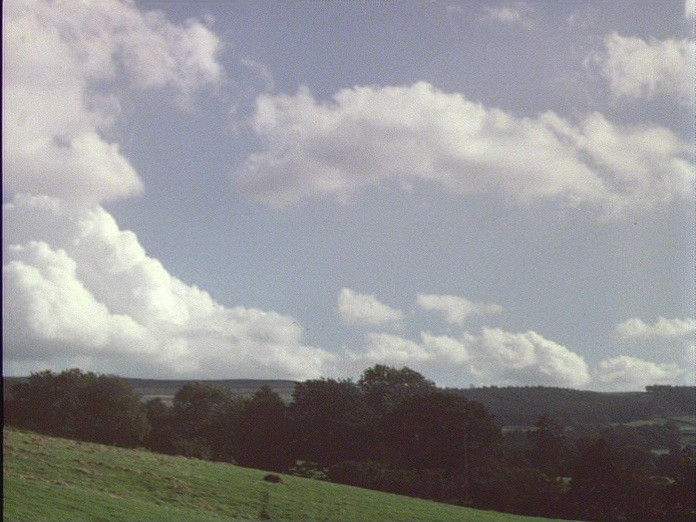 WOODLAND SUNWOOD-1986