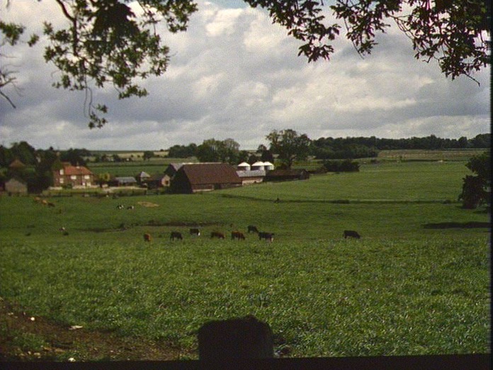 Pyle Farm, Horndean-1986