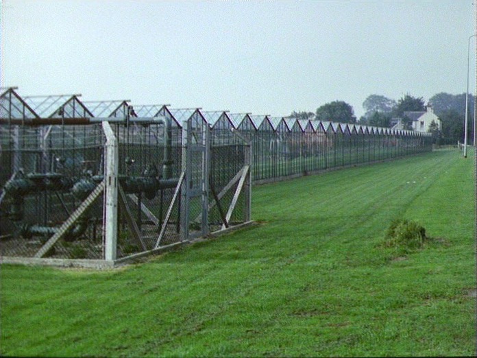 Glasshouses, Cottingham.-1986