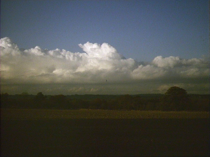 AGRICULTURAL FIELDS-1986