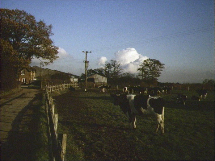 TYPICAL FARM ON THIS AREA-1986