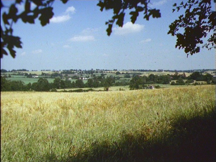 VIEW FROM REDFANTS FARM-1986
