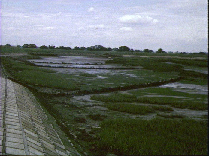 The sea wall near Goldhanger-1986
