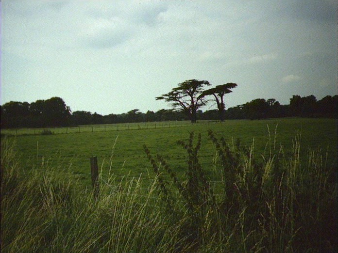 A VIEW OF BIRCH PARK-1986