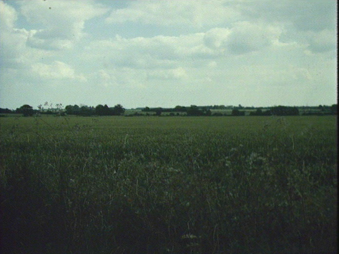 Farmland in Stanway/Copford-1986