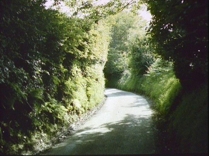 A ROAD IN THE BRENDON HILLS
