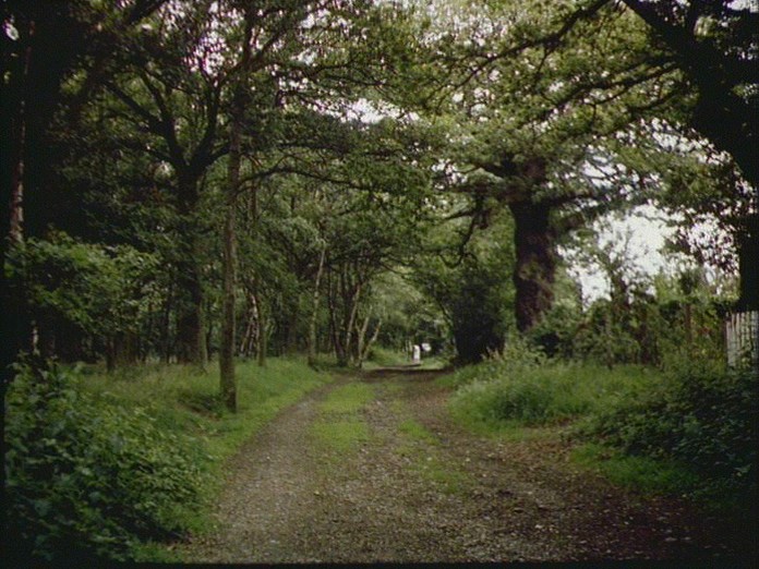 A VIEW OF CANNOCK CHASE