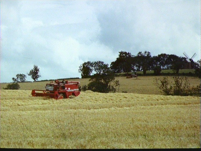 Combining Wheat - Tysoe