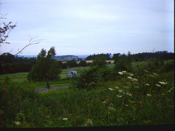 ARNOLD'S COUNTRYSIDE.