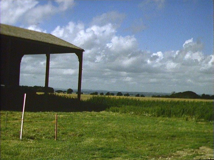 Farmland round Itchenor