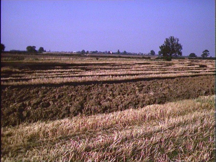 Farmland near Gretton