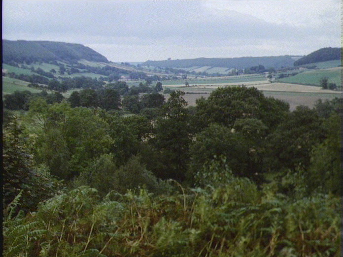View NE from Green gate
