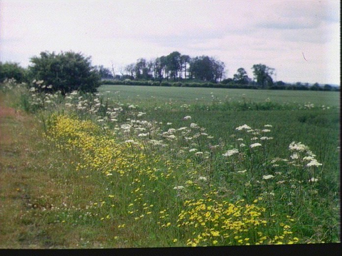 Disused Railway Line