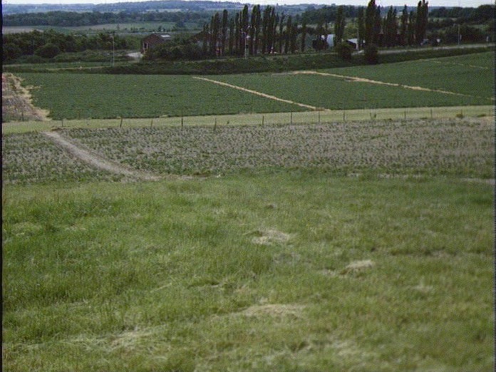 Farm Landscape