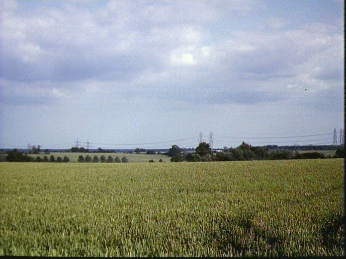 Countryside round Bredfield