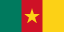 Cameroon flag